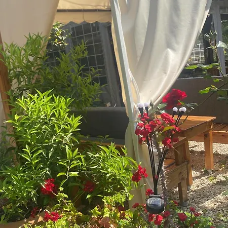Couette-café Rosemary 4*