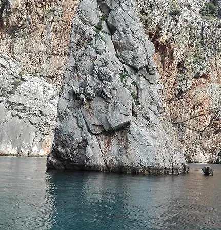 Rosemary Çıralı